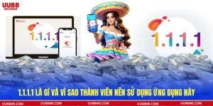1.1.1.1 là gì